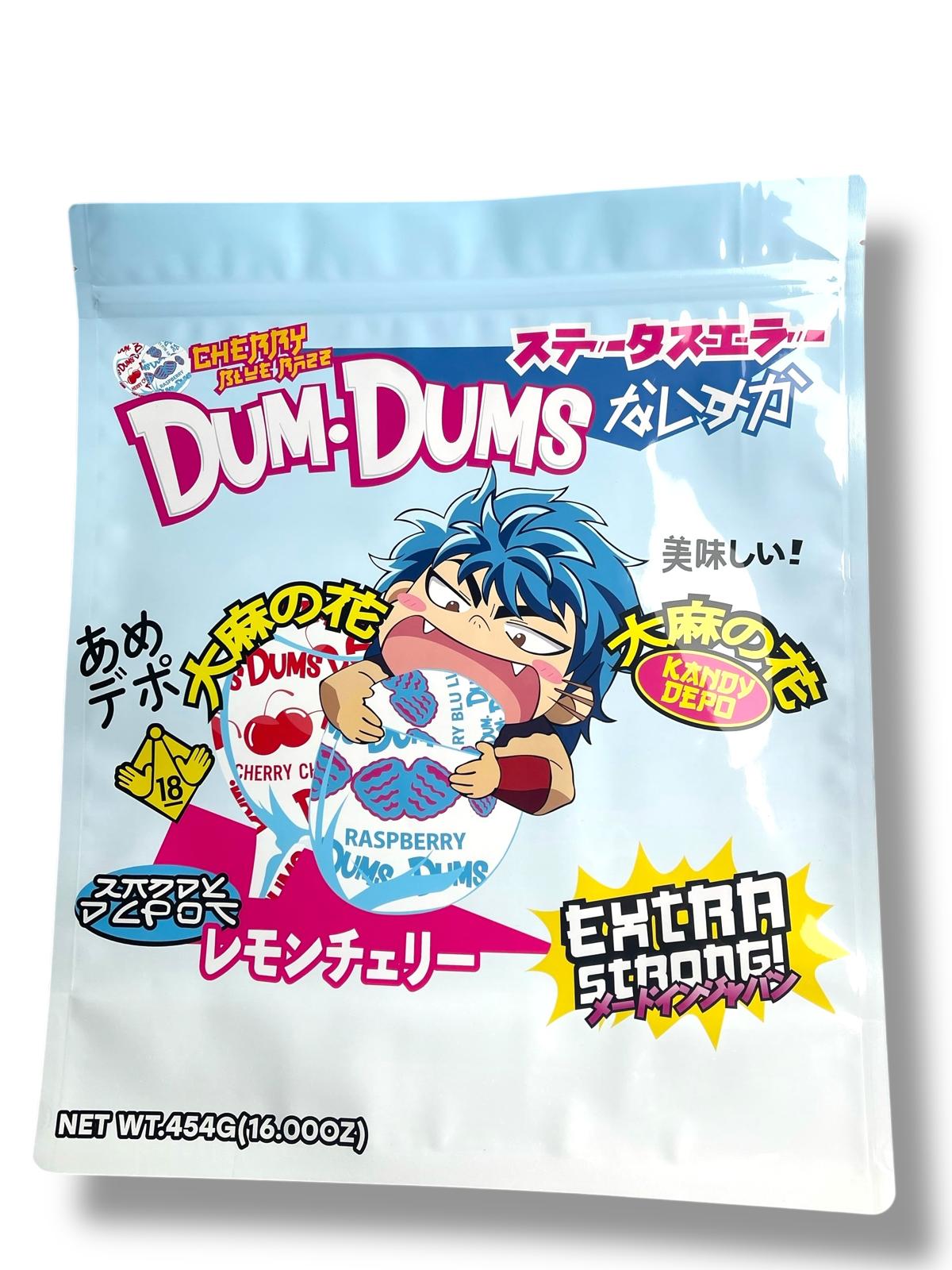 Dum Dums (Large) 1 LBS - 16OZ (454g) Kandy Depot
